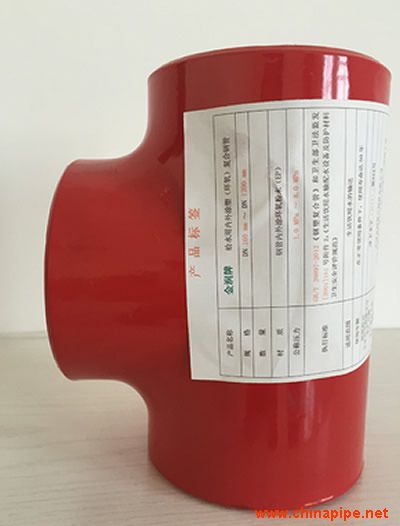 DN300內(nèi)EP外PE涂塑復合鋼管